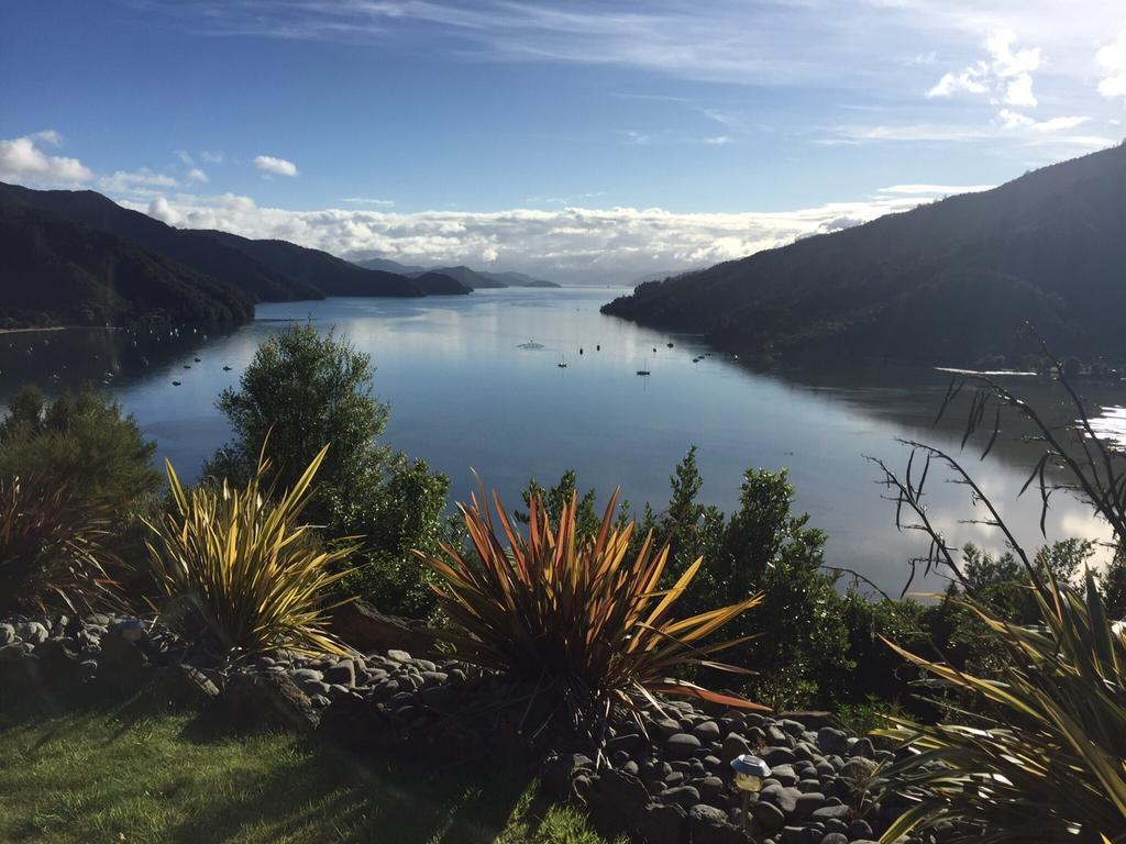 Okiwa Bay Lodge Picton Exterior foto